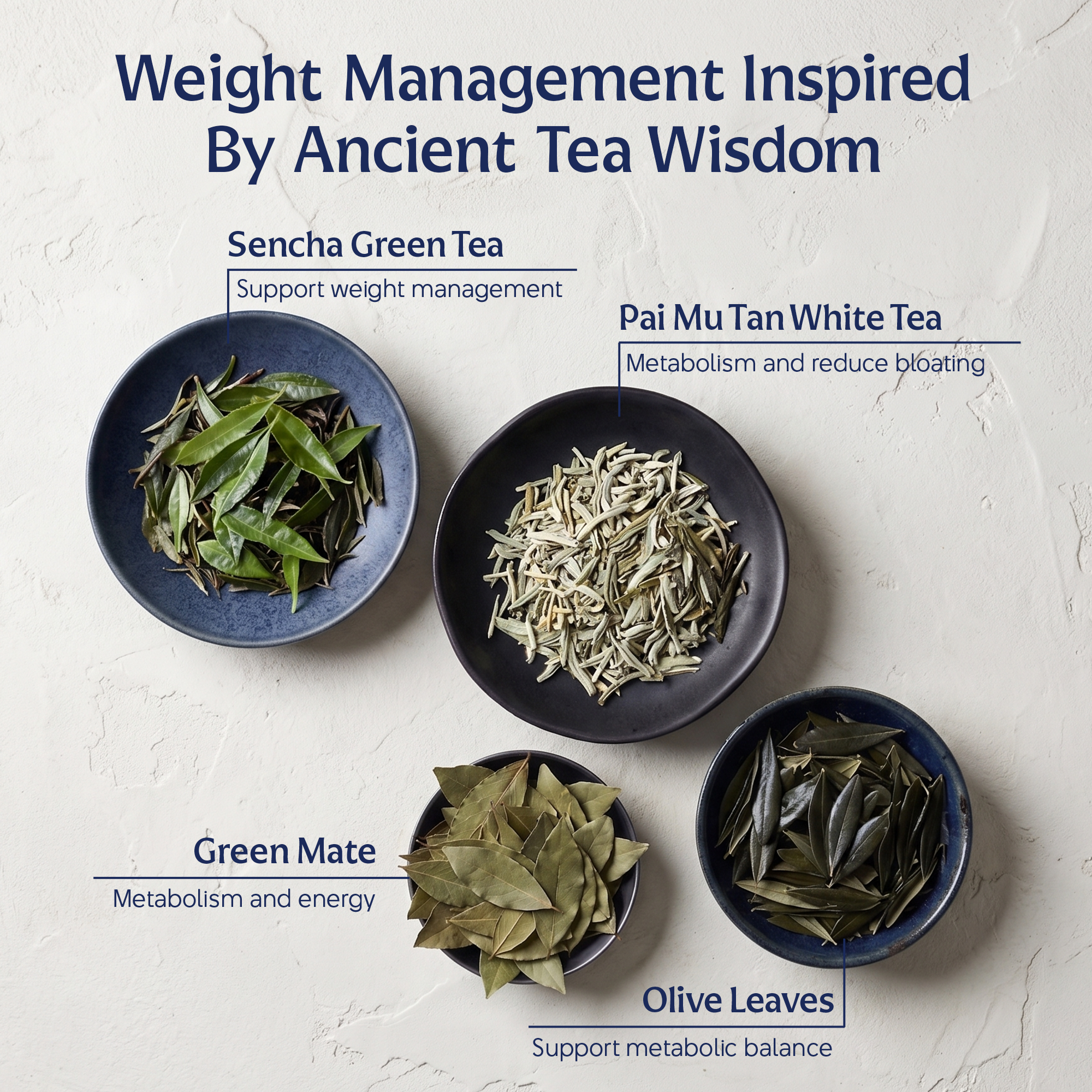 OGITEA® FIT