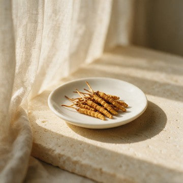 Cordyceps